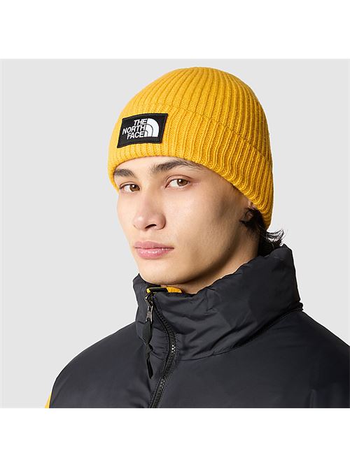 tnf logo box cuffed beanie THE NORTH FACE | NF0A3FJX56P1